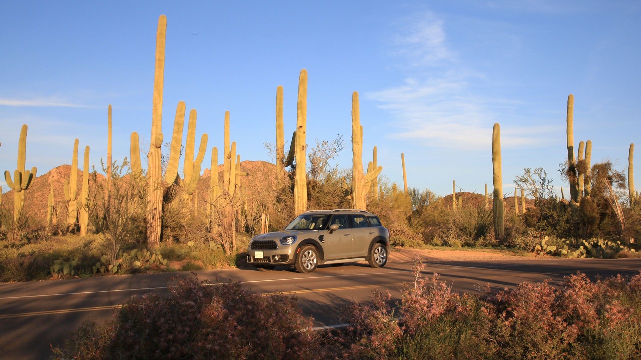 Mini Cooper in Saguaro