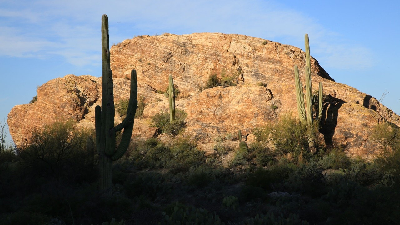 Javelina Rocks in Saguaro National Park East 