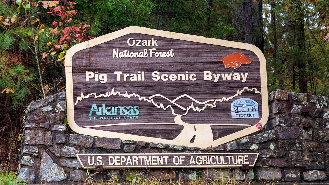 Arkansas Razorback fans are very familiar with the Pig Trail.