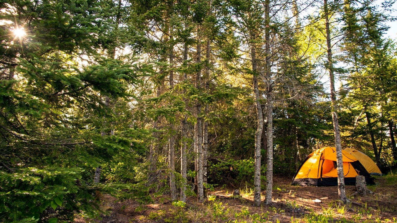 Primitive campsites often sit a quarter-mile from each other.