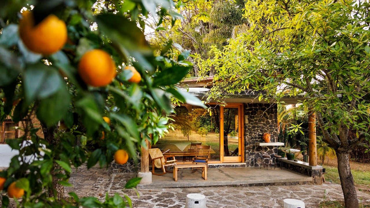 Orange trees and avocado orchards surround the rental home near Valle de Bravo.