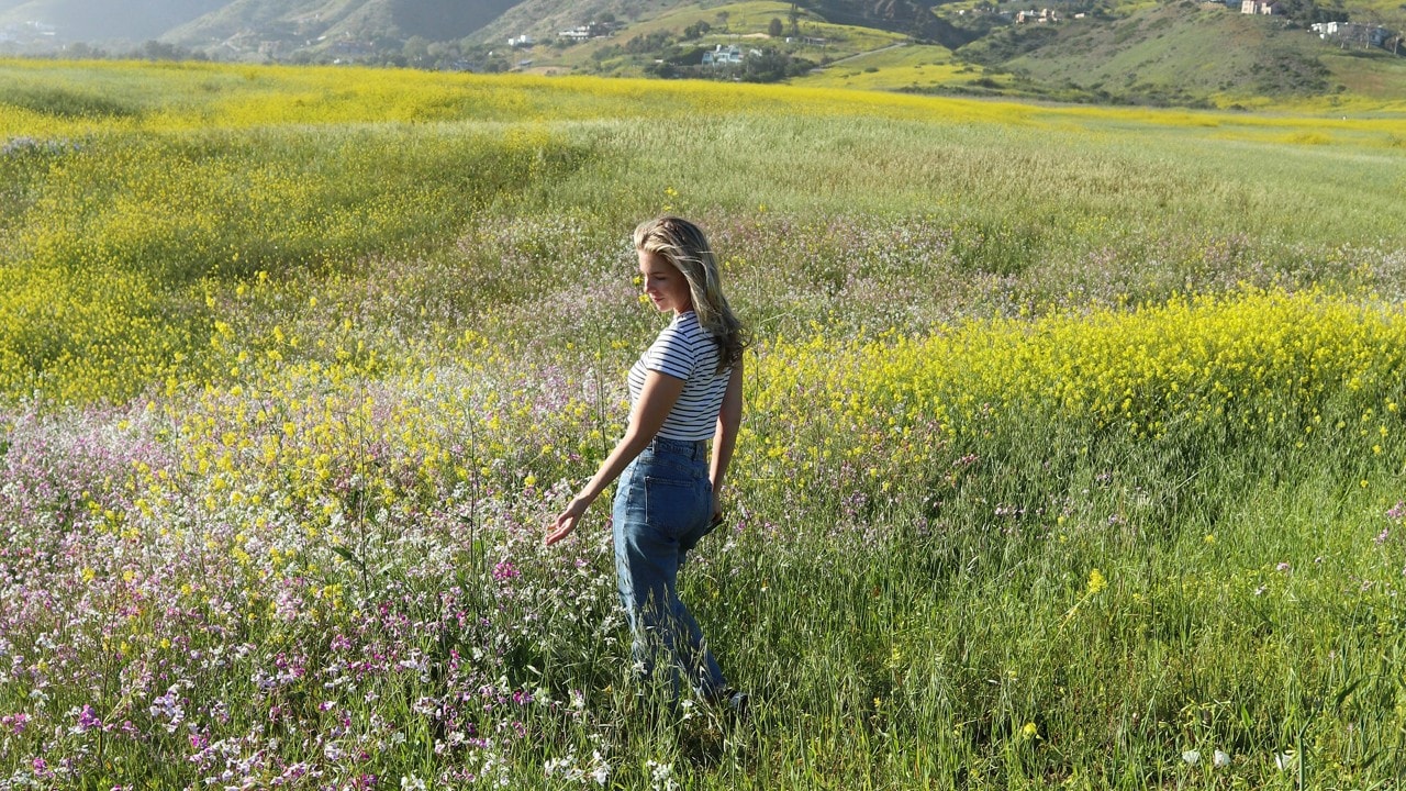 The best flower fields in California are those you stumble upon unexpectedly.