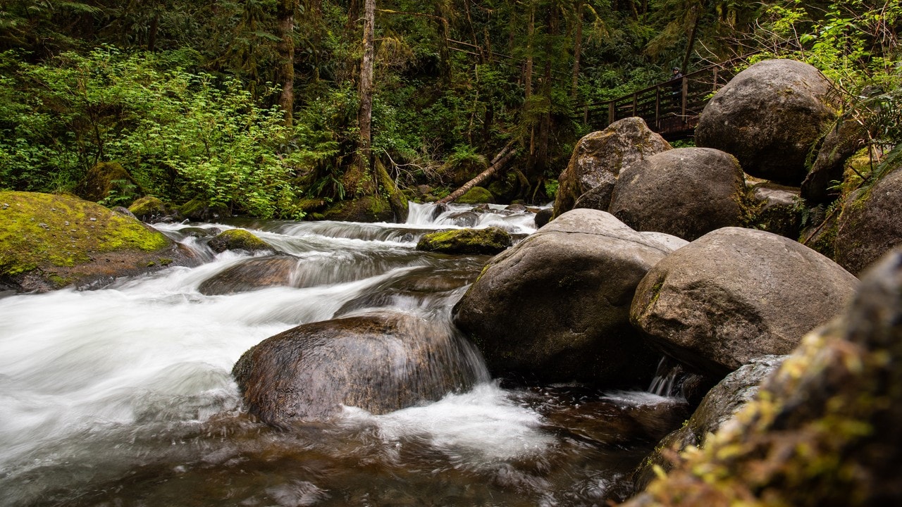 The Wallace River flows in Wallace Falls State Park.