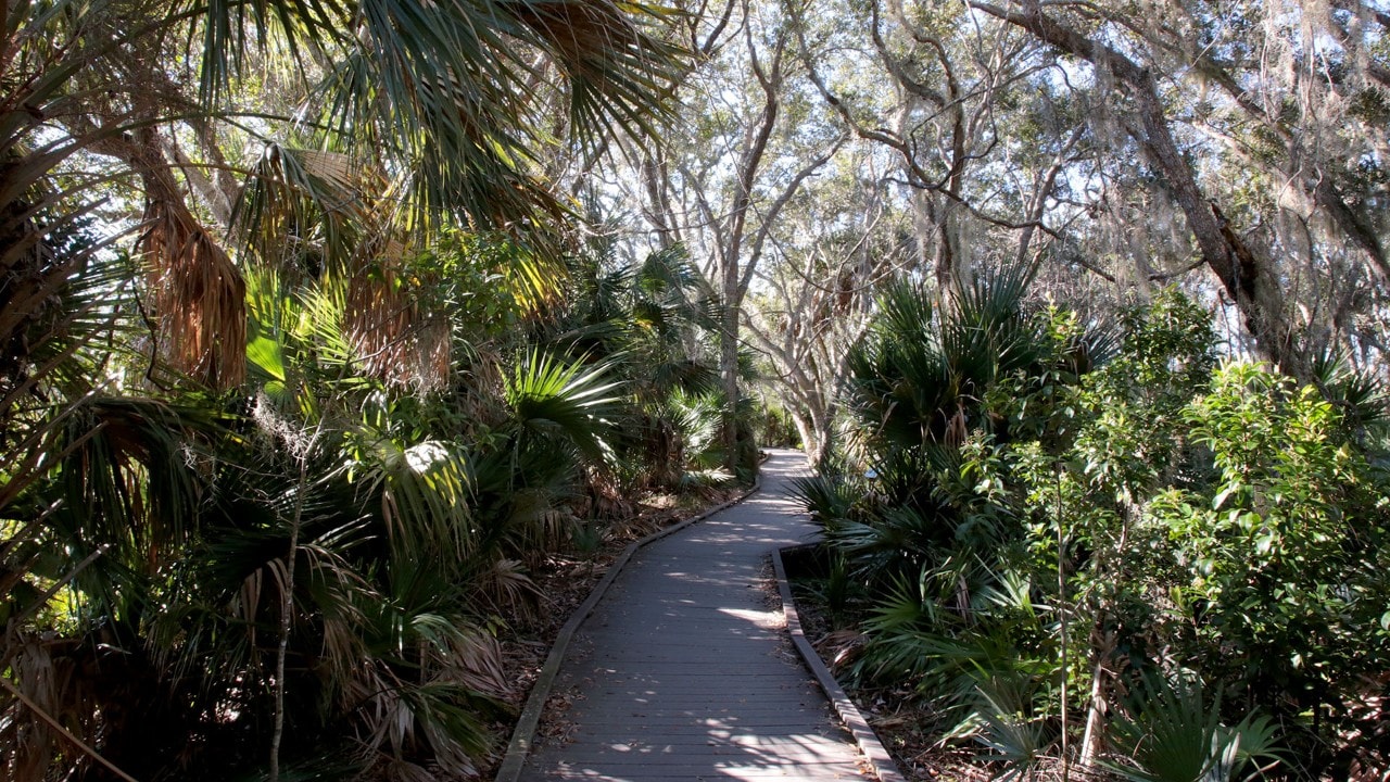 Easy hiking trails start at the Merritt Island visitor center.