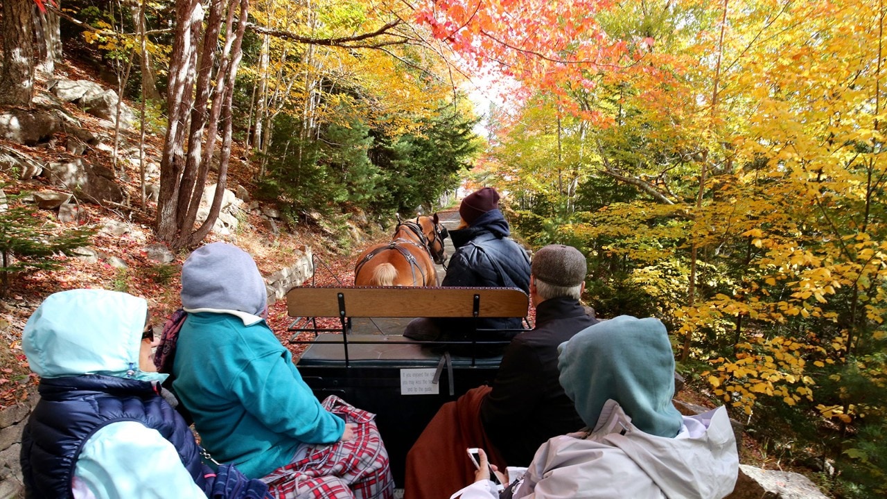Visitors take a carriage ride on a crisp October morning.