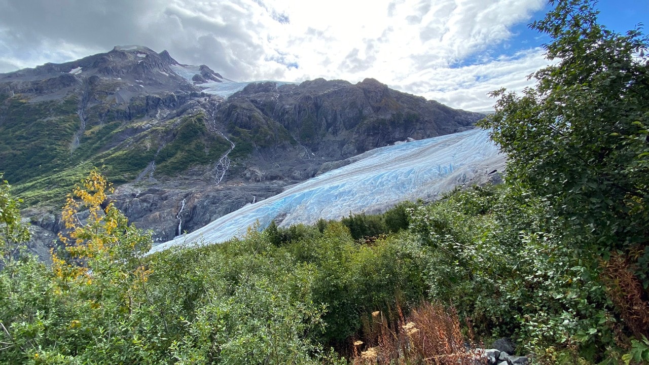 Hiking trails to Exit Glacier are just a 15-minute drive from Seward, making it a popular activity in Kenai Fjords National Park.