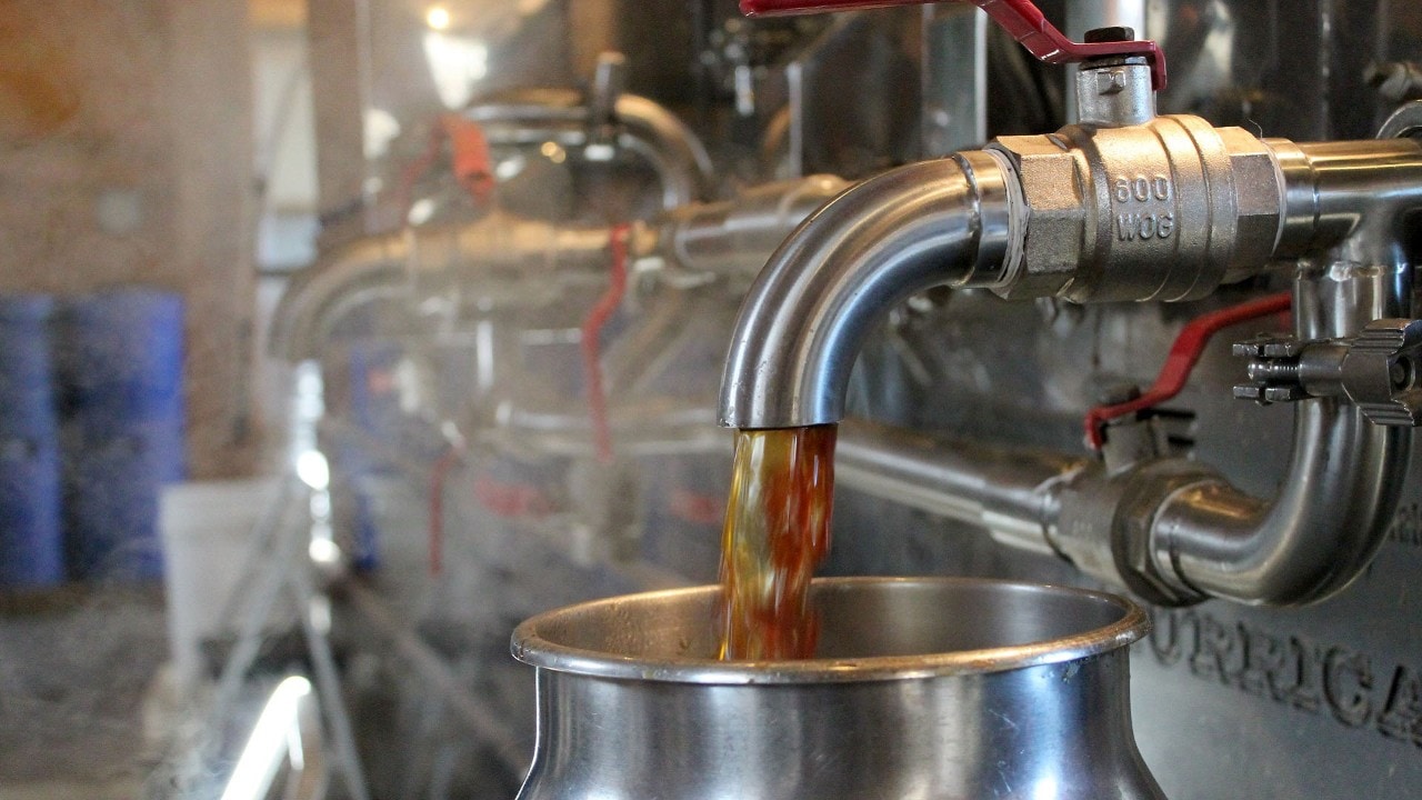 Sample fresh syrup. Photo courtesy of Massachusetts Maple Producers Association