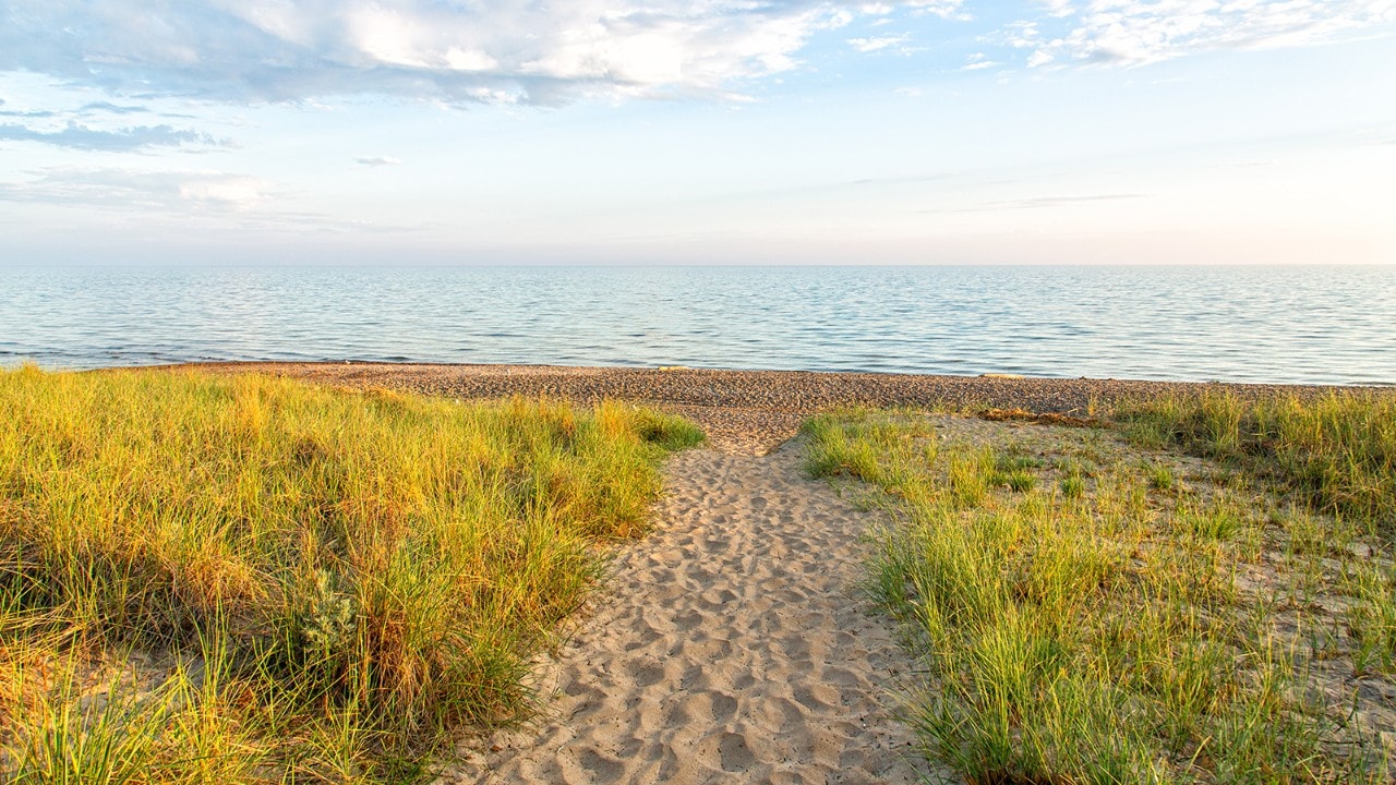 Indiana Dunes features many beach trails. Photo by Derek Jerrell