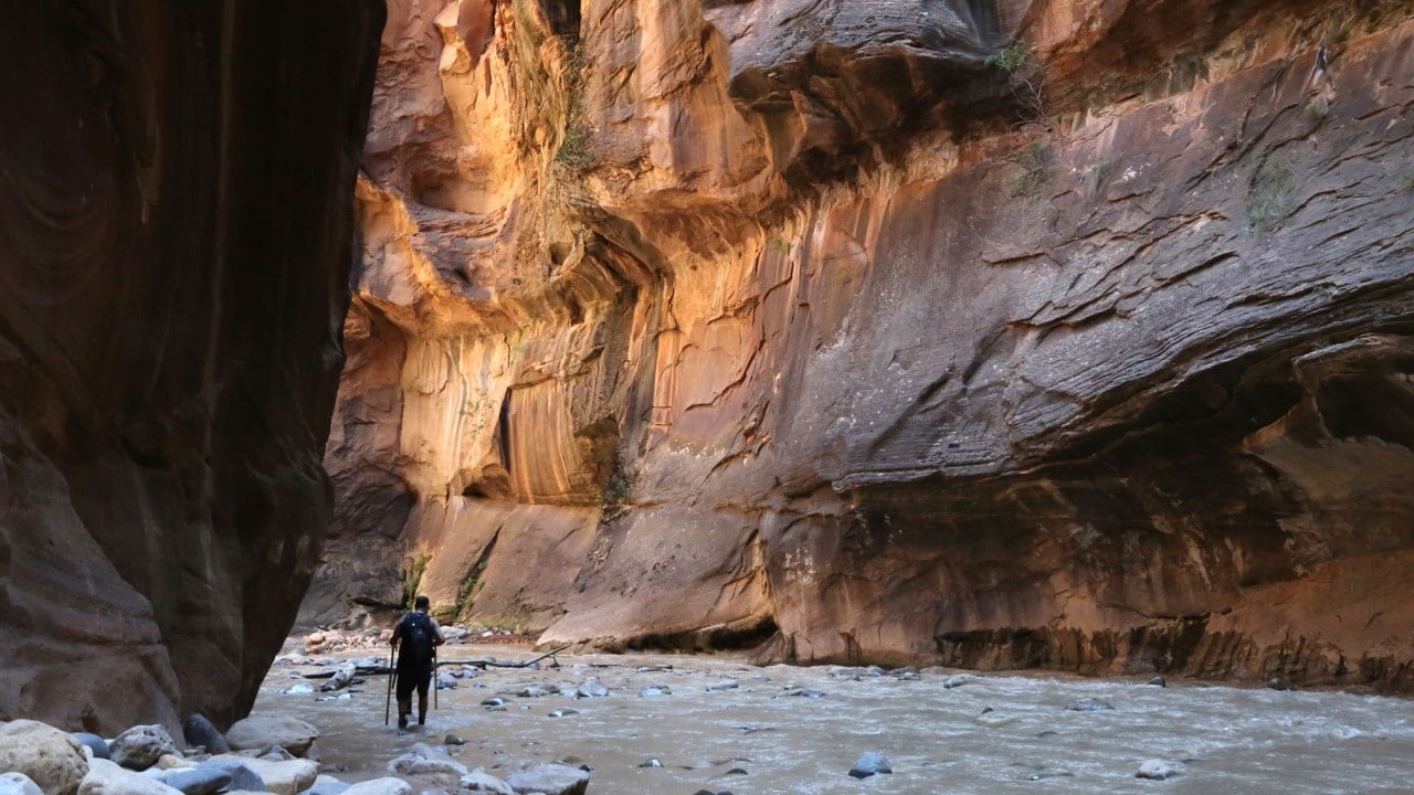 The Narrows is a popular hike in Zion National Park. Photo by Charles Williams