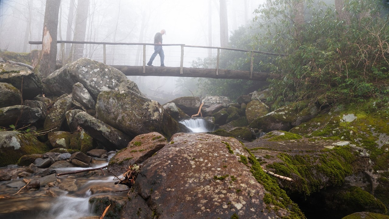 Great Smoky Mountains National Park is the most popular park. Photo by Joe Howard