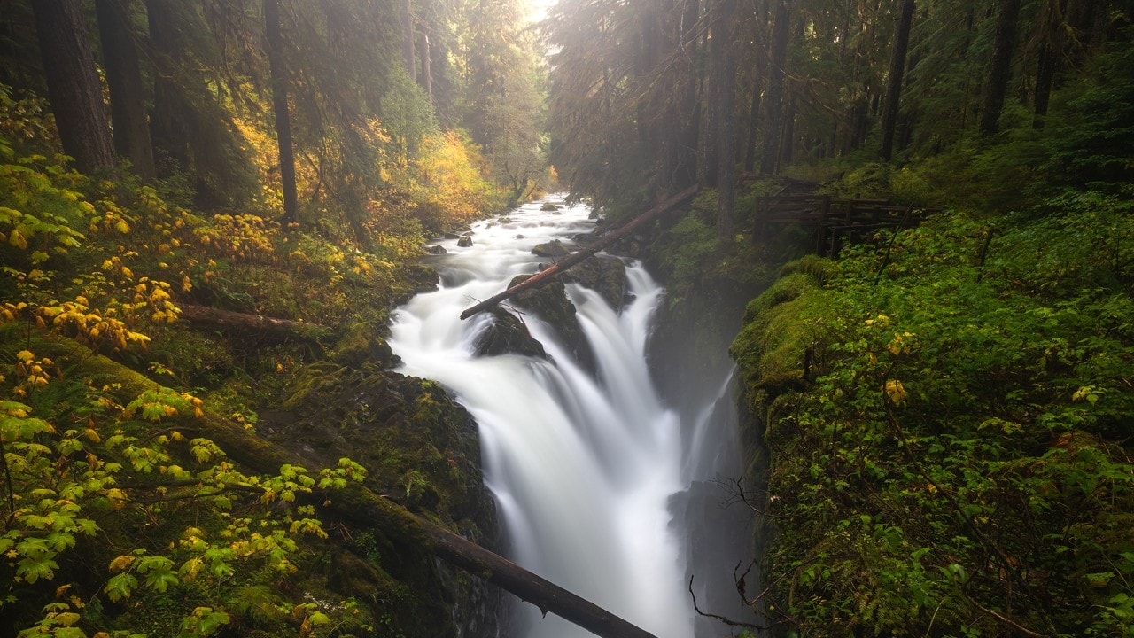 Sol Duc Falls is a three-tiered waterfall that tumbles down 50 feet into the canyon below.