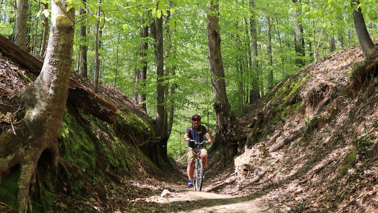 A cyclist follows the path of a 'sunken" portion of the Natchez Trace eroded by centuries of traffic.