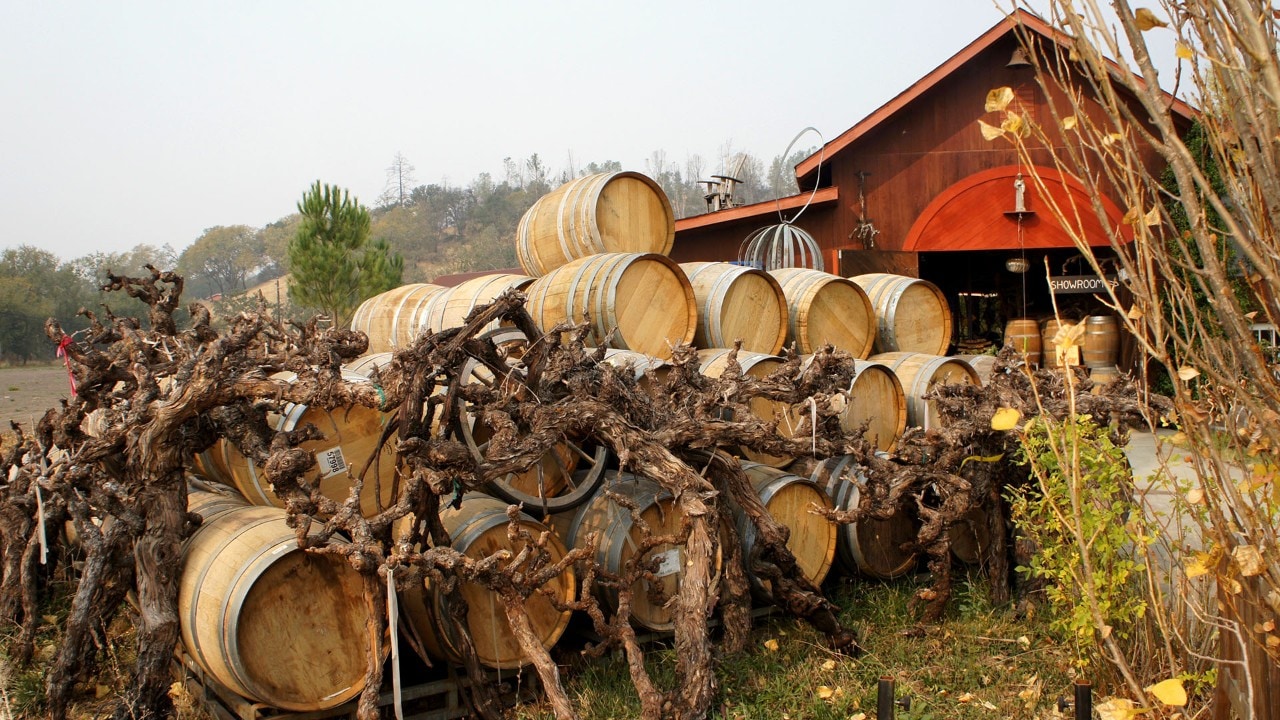 Wine barrels and dried grapevines await artisan Paul Block's inspiration at Wine Barrel Furniture in Calistoga.