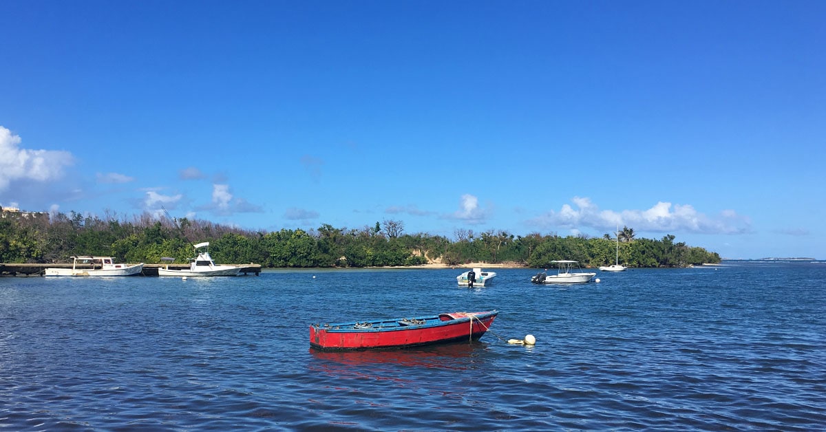 In addition to the bioluminescent bay, Vieques has beaches and boat rides.