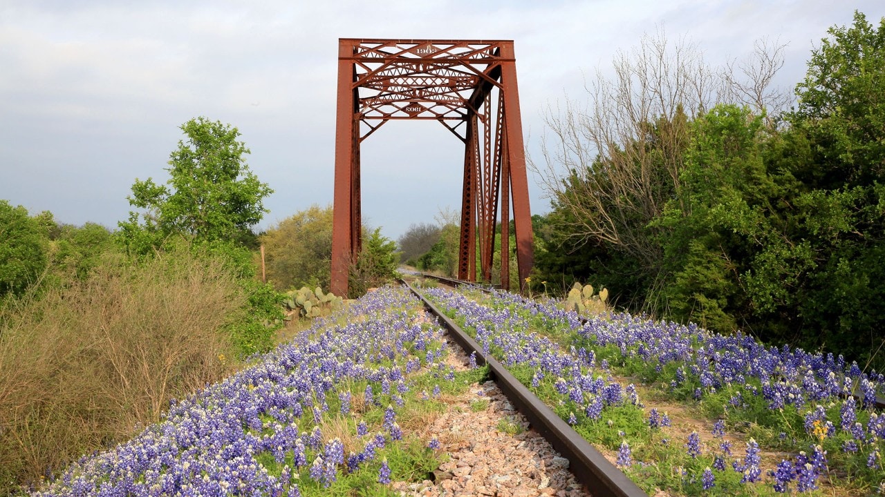 An abandoned railroad trestle