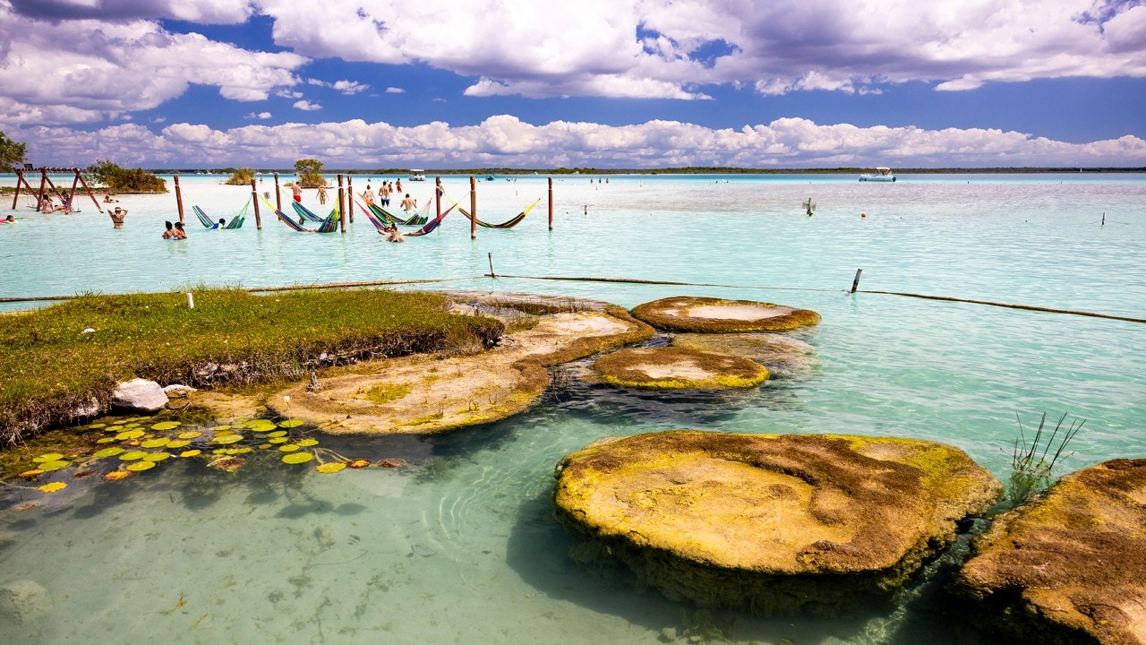 Stromatolites are protected in an area next to Cenote Cocalitos.
