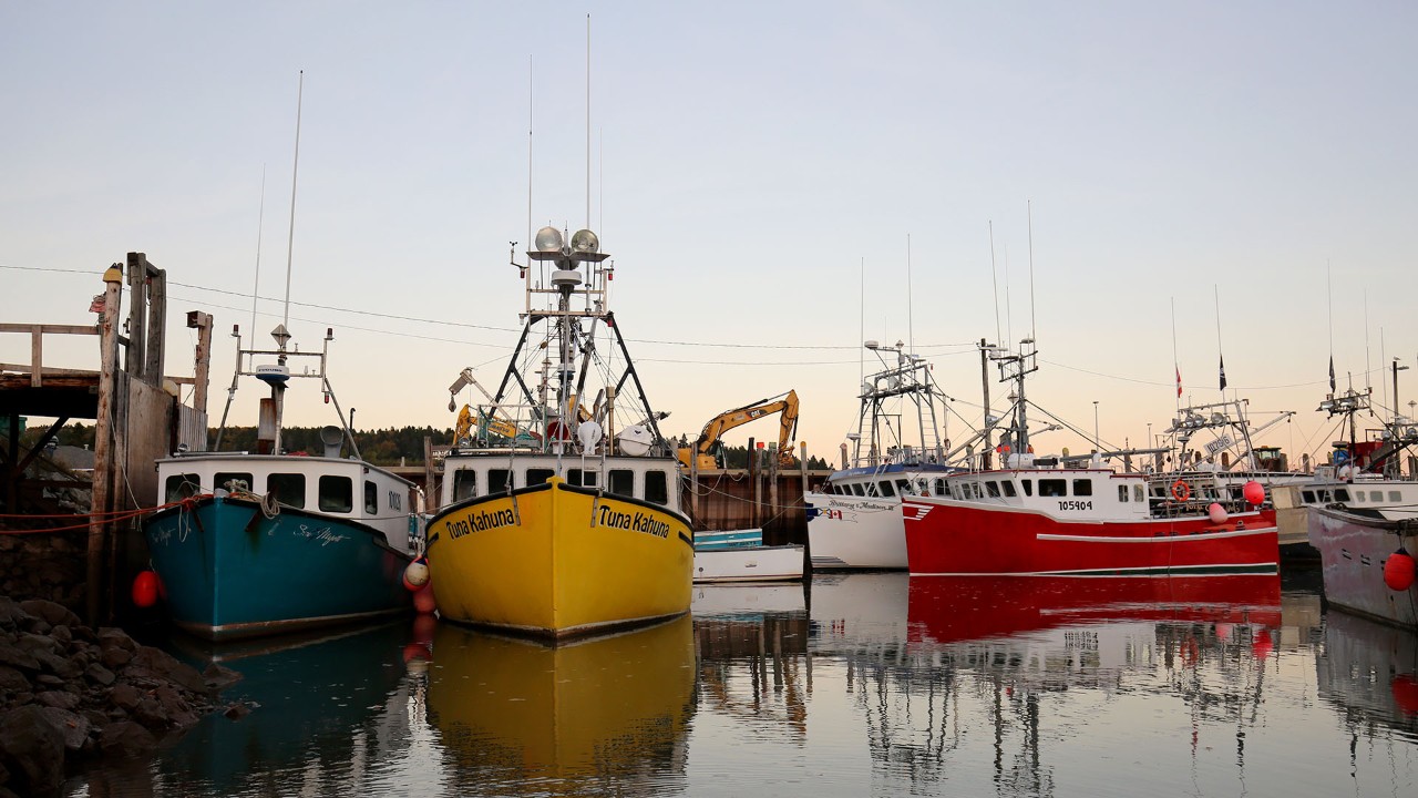 Boats rest in the harbor during high tide in Alma, New Brunswick.