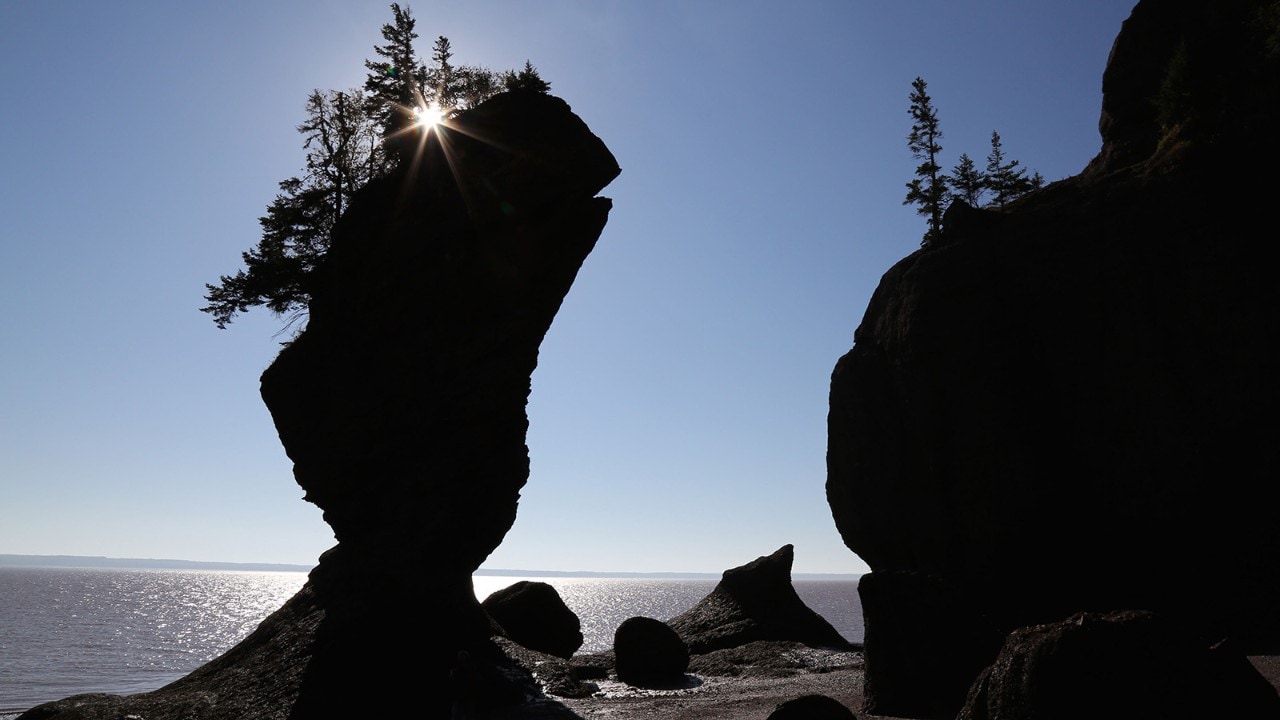 Low tide at the Hopewell Rocks.