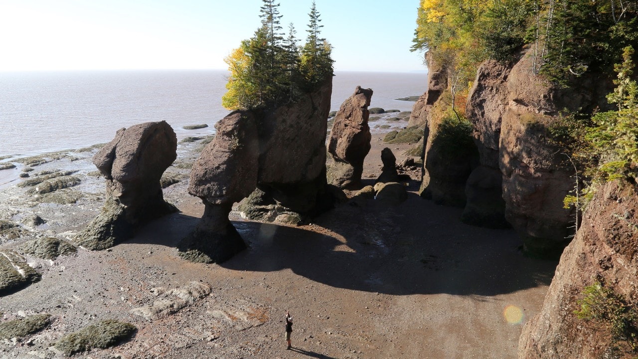 The tide recedes at the Hopewell Rocks, leaving amazing flowerpot structures.
