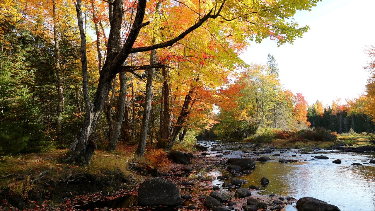 New Brunswick is beautiful in autumn.