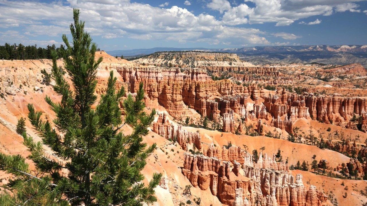 Bryce Canyon National Park features amazing  hoodoos.