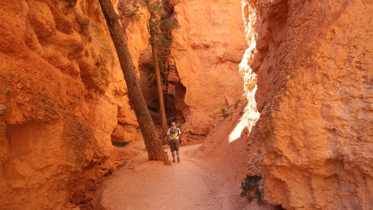 The Navajo Loop Trail at Bryce Canyon.