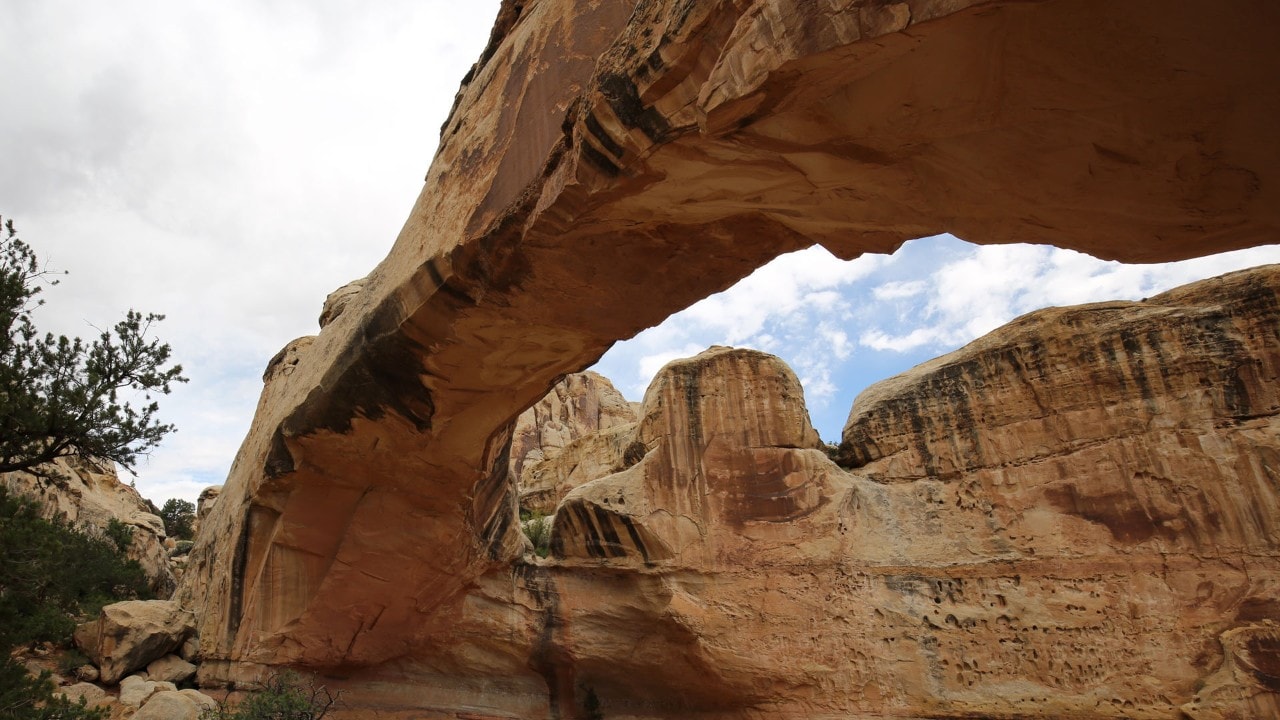 Take a 1.8-mile hike to the Hickman Arch.