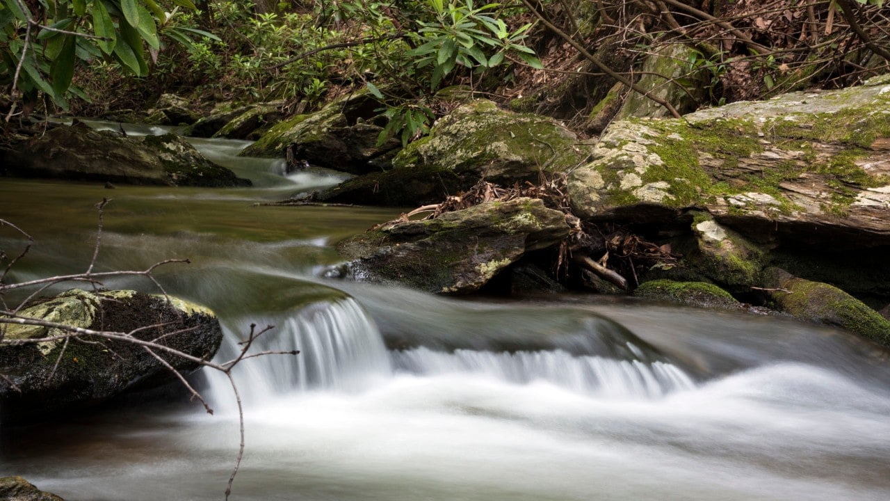 Southwest Virginia is well-known for great hiking trails.