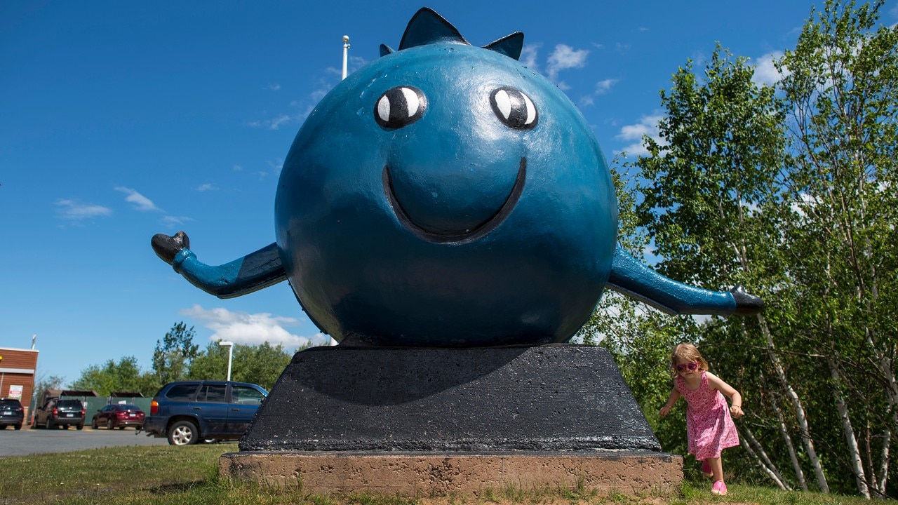 A girl plays under a giant blueberry statue in Oxford, N.S. on Tuesday, July 4, 2017