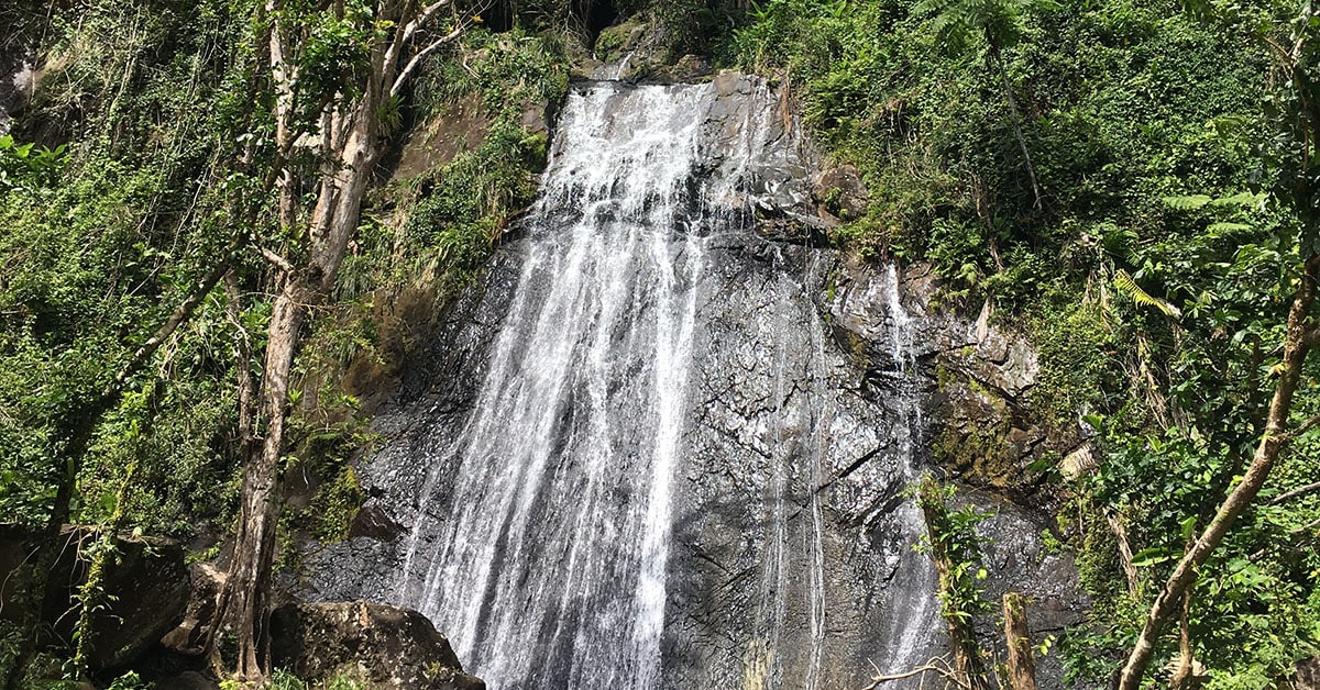 Tourists can visit La Coca Falls, one of the sights accessible as El Yunque recovers.