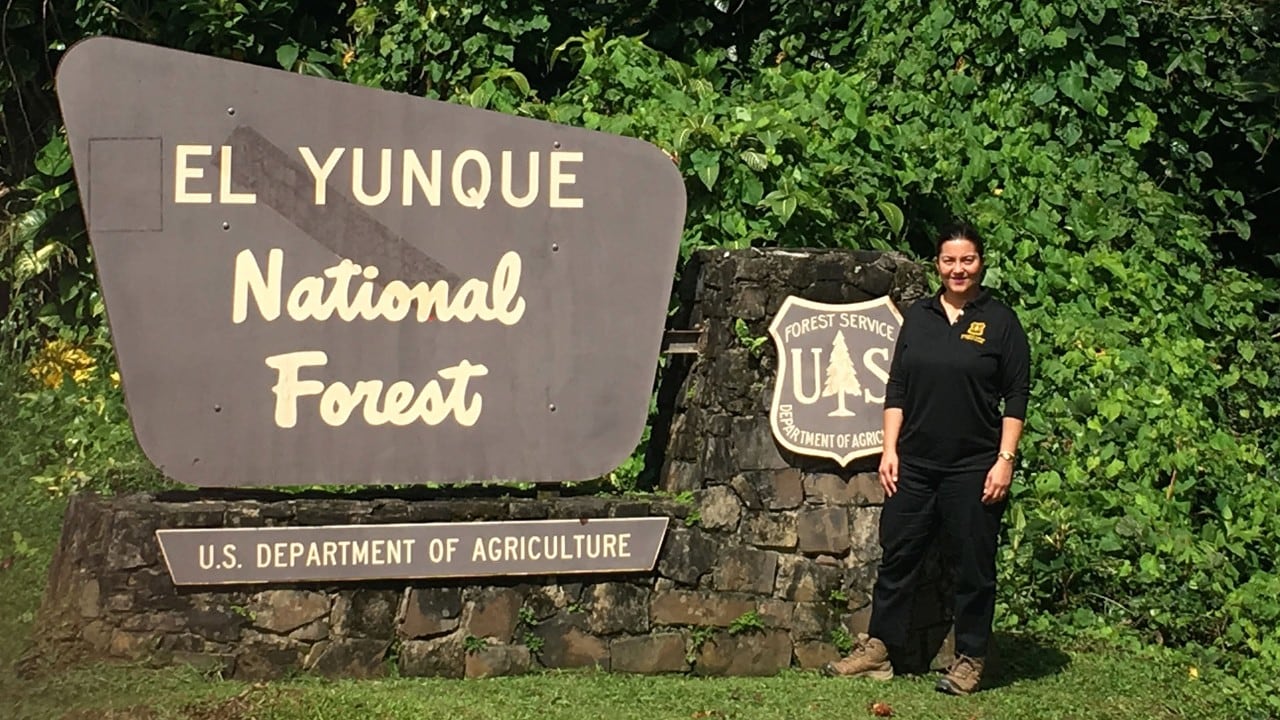 Grizelle Gonzalez, a researcher at El Yunque National Forest