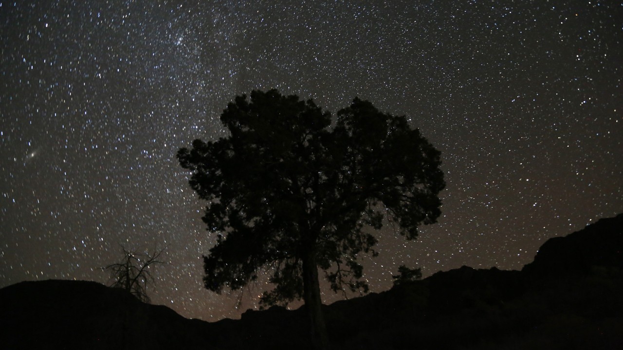 Nighttime sky in Big Bend National Park