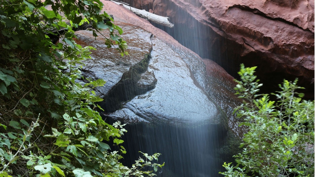 The Emerald Pools Trail features small waterfalls.