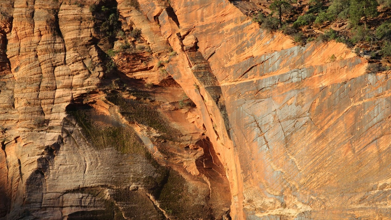 The textures of the canyon's walls are highlighted in the early morning light.