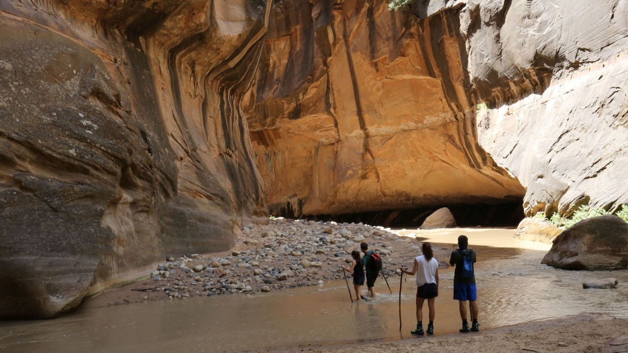 Hikers admire the beauty of The Narrows.