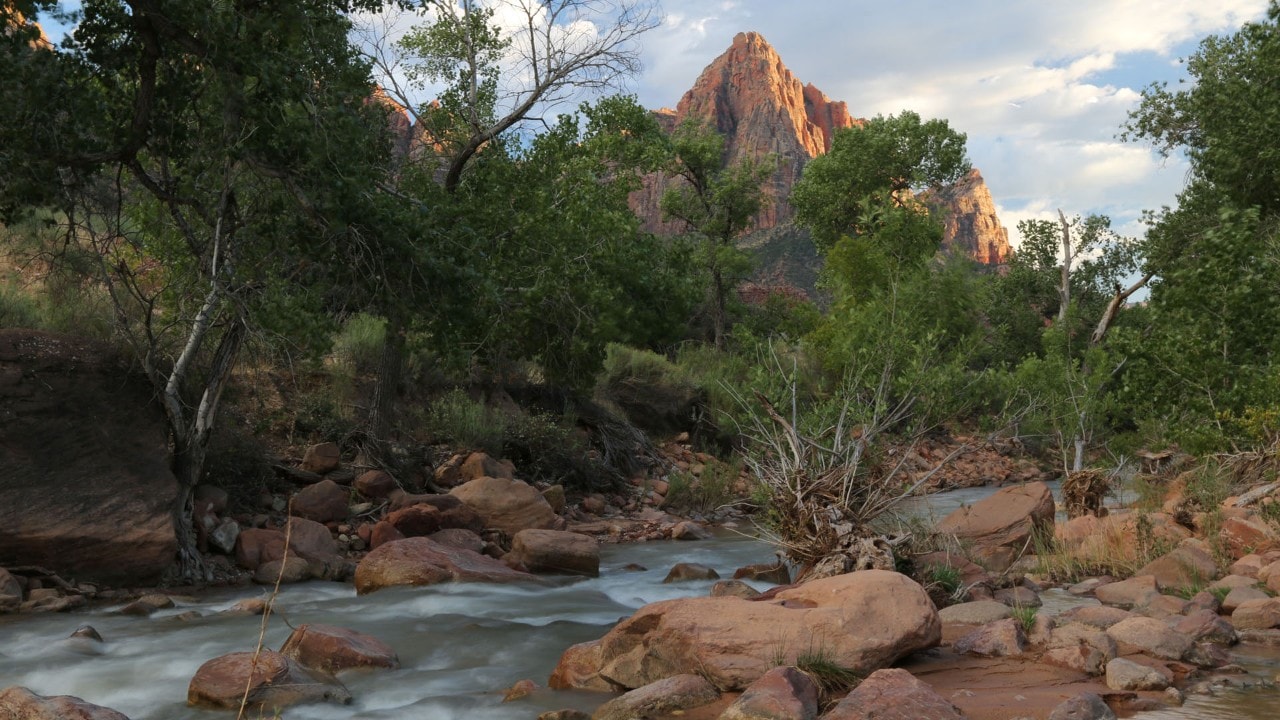 The Virgin River flows past the Watchman in Zion National Park.