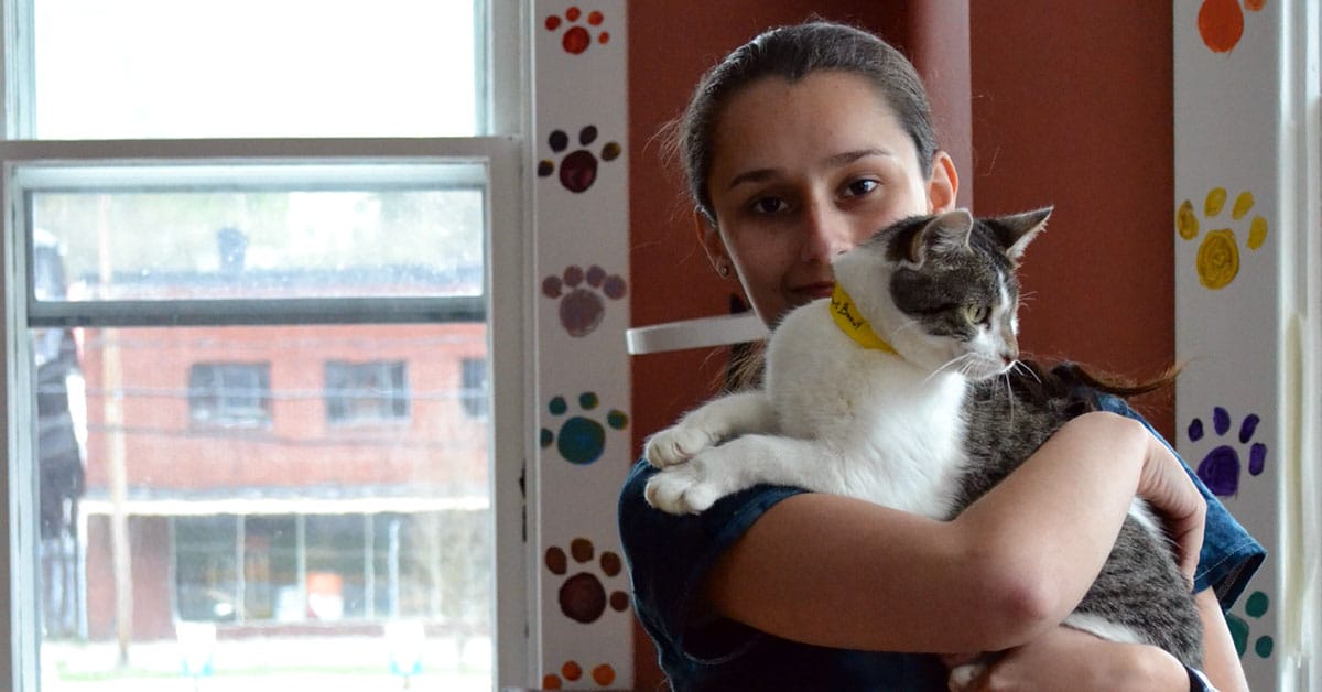 Lourissa Wagaman has worked at Give Purrs a Chance since it opened.