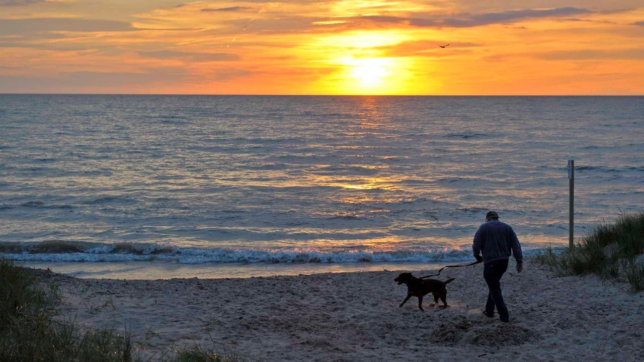 A man walks his dog as the sun sets in South Haven.