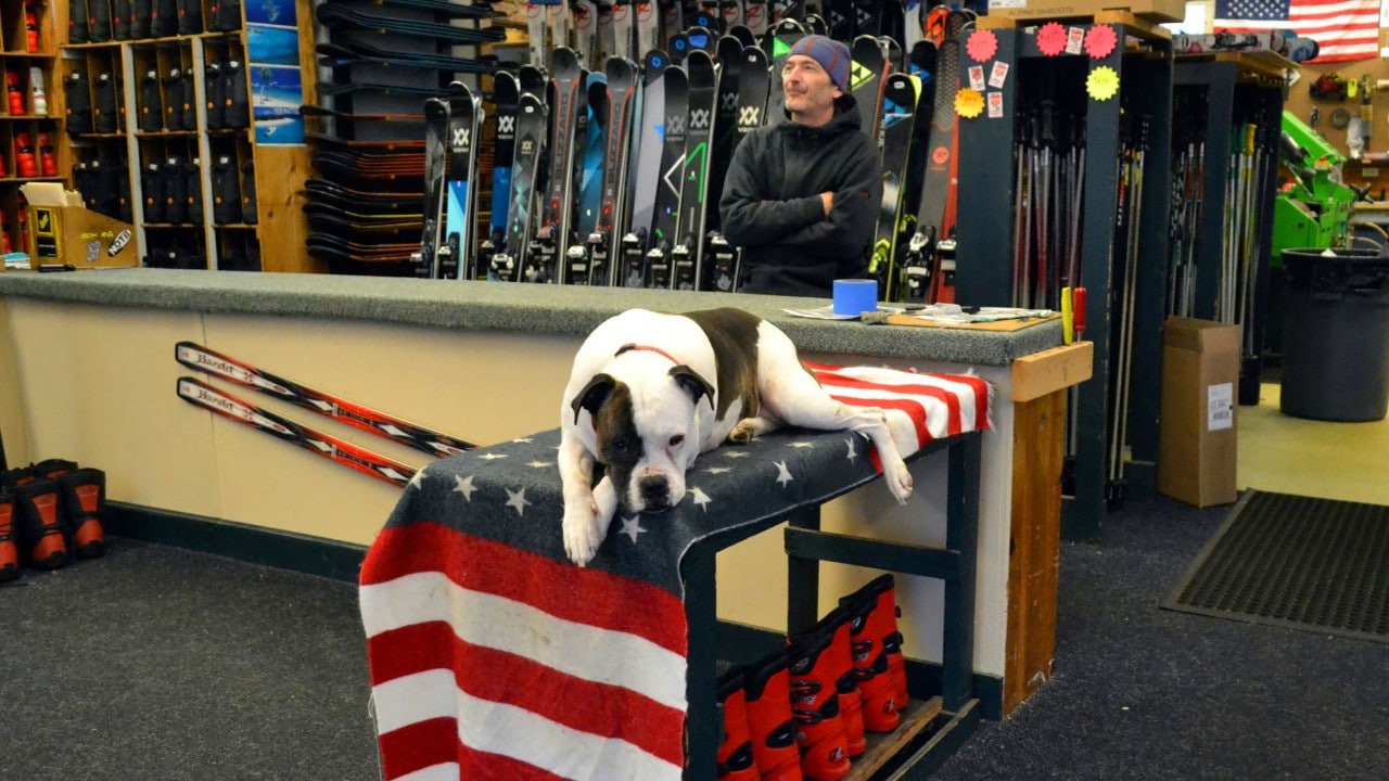 At Great American Ski Renting, Steve Founds and his dog, Taylor, help customers.