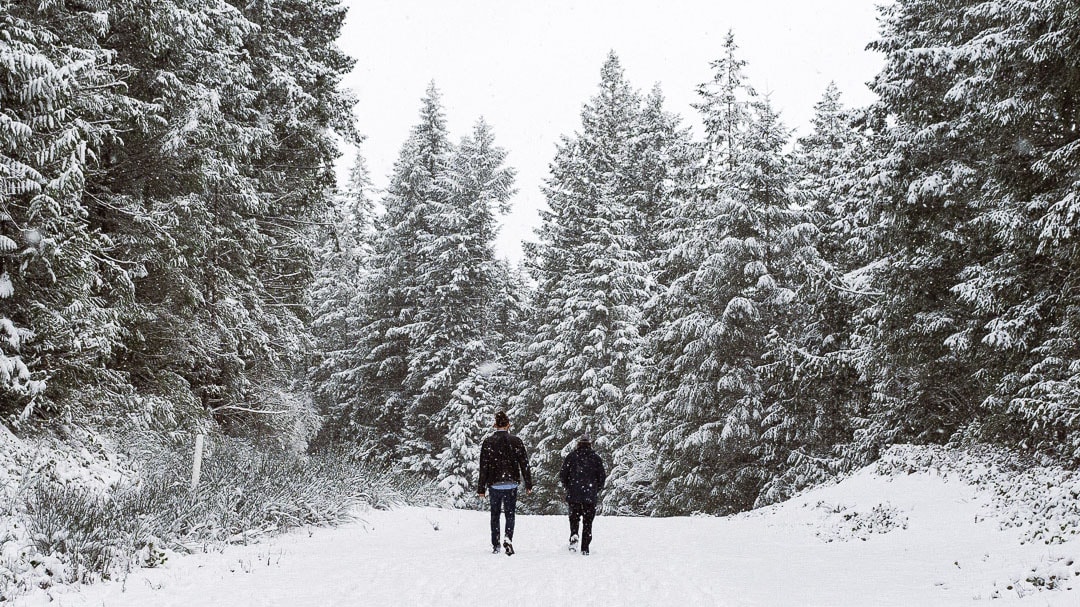 Two people walk through the snow at the Kinsol Trestle.