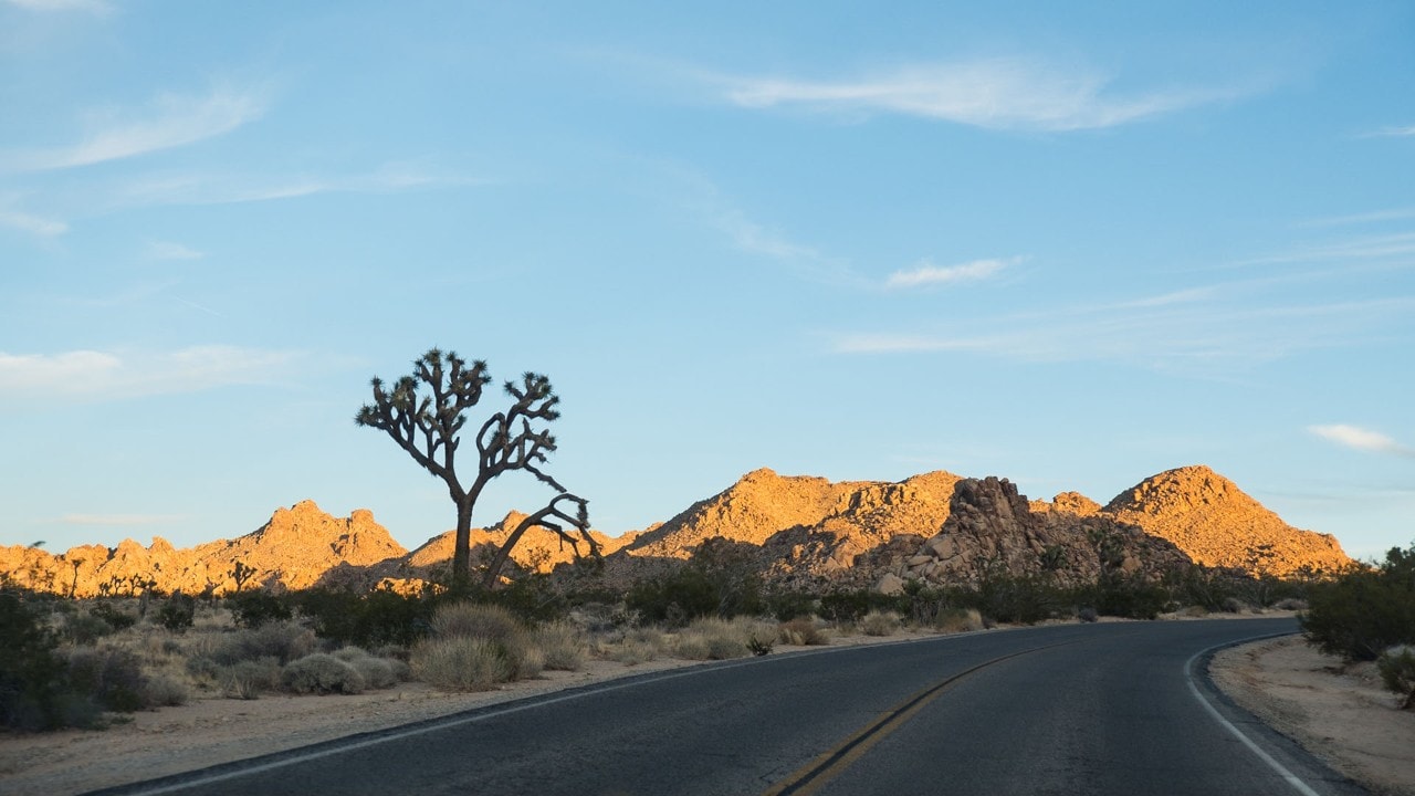 The sun sets in Joshua Tree National Park.