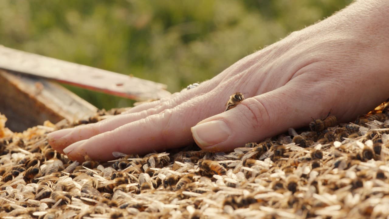 Sarah has connected with bees since she was young. Here, she rests her hands peacefully on her bee friends. Photo by Kyle Repka