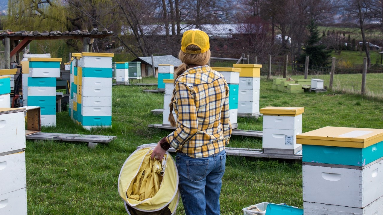 Sarah observes her hives as she prepares to suit up and check on the bees. Photo by Jay Zschunke