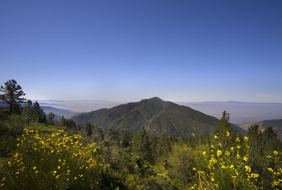 San Bernardino National Forest