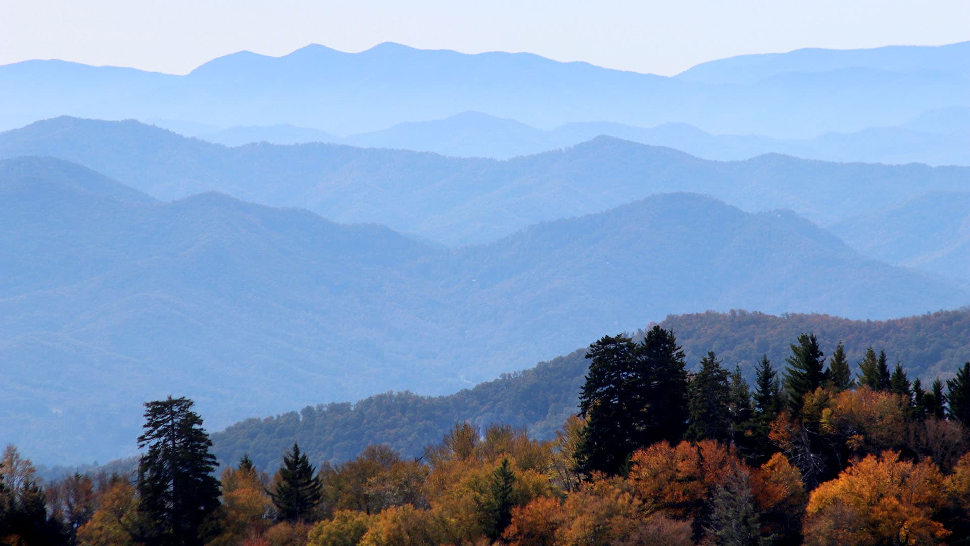 Driving Through The Smoky Mountains: Planning Your Road Trip
