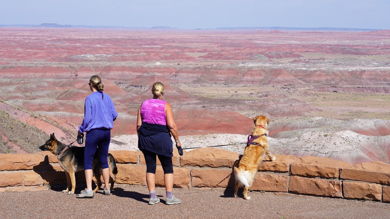 Visitors and their four-legged friends look out over the Painted Desert from Tawa Point.