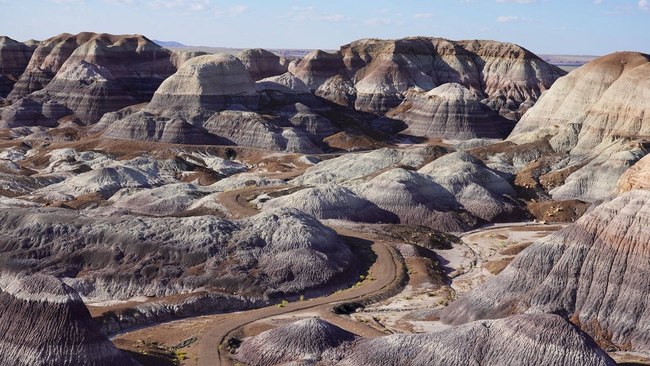Plant and animal fossils have been found in the sedimentary layers of the Blue Mesa.