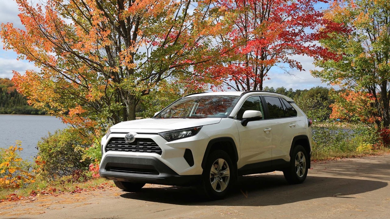 Seeing Algonquin with a Toyota Rav4