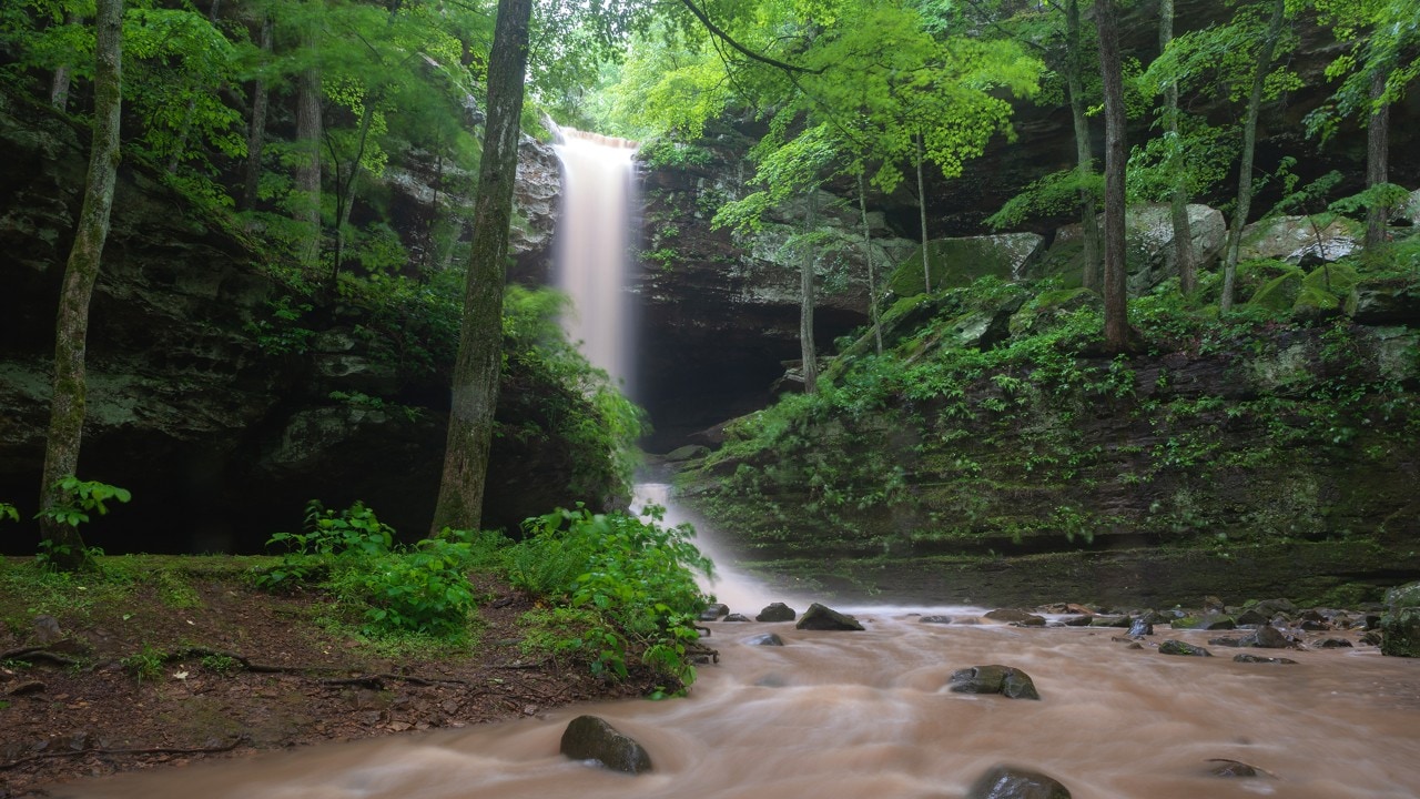 The waterfalls at Ferne Clyffe State Park are most impressive after a heavy rain.