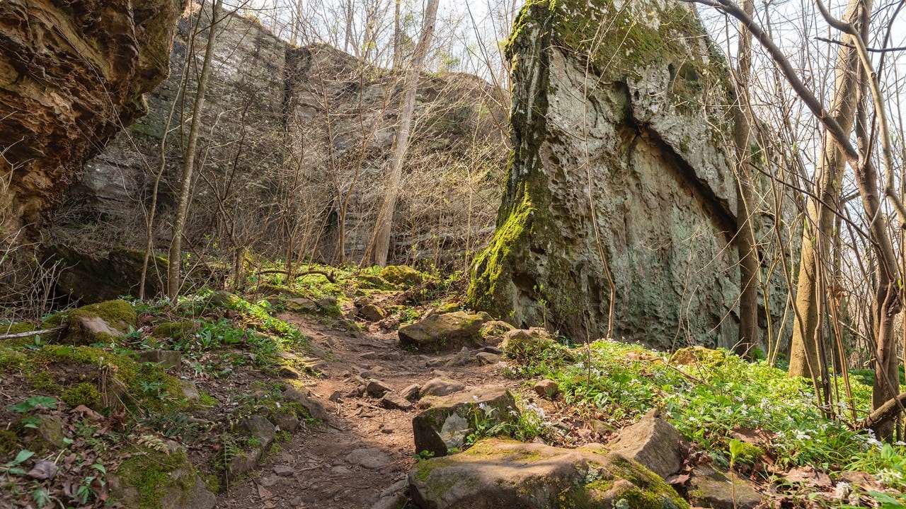 The Trillium Trail at Giant City State Park passes through towering boulders.